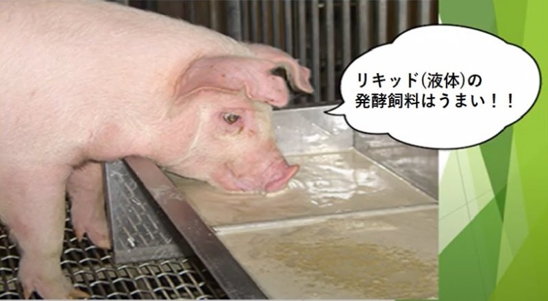 リキッド発酵飼料について