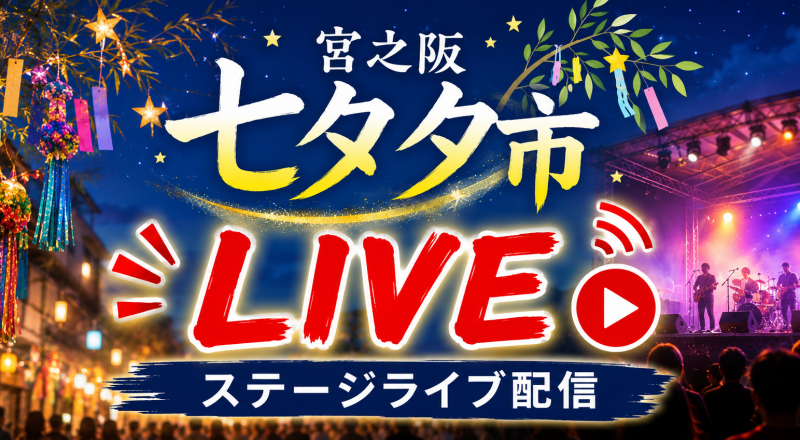 LIVE配信はこちら